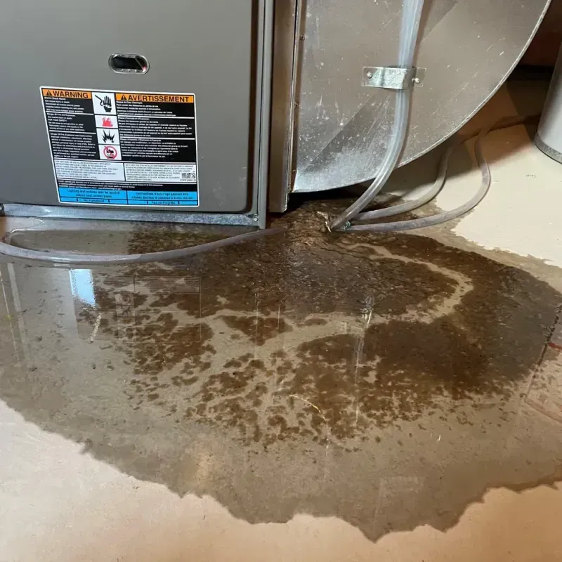 Appliance Leak Cleanup in Milford, IL